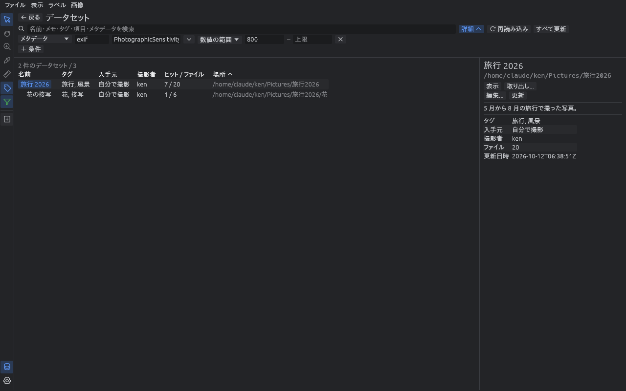 The datasets screen